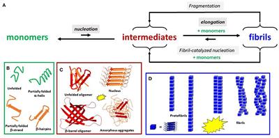 Reproducibility Problems of Amyloid-β Self-Assembly and How to Deal With Them